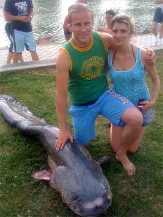 Óriásharcsa akadt a horogra