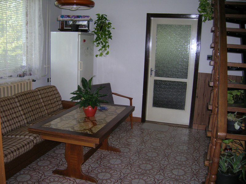 Kép 2507