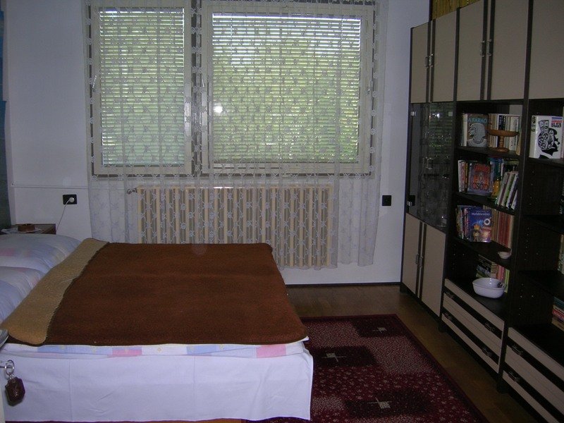 Kép 2509