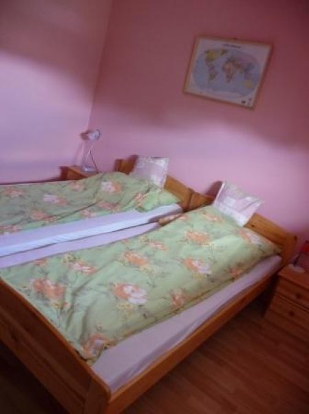 Kép 3335